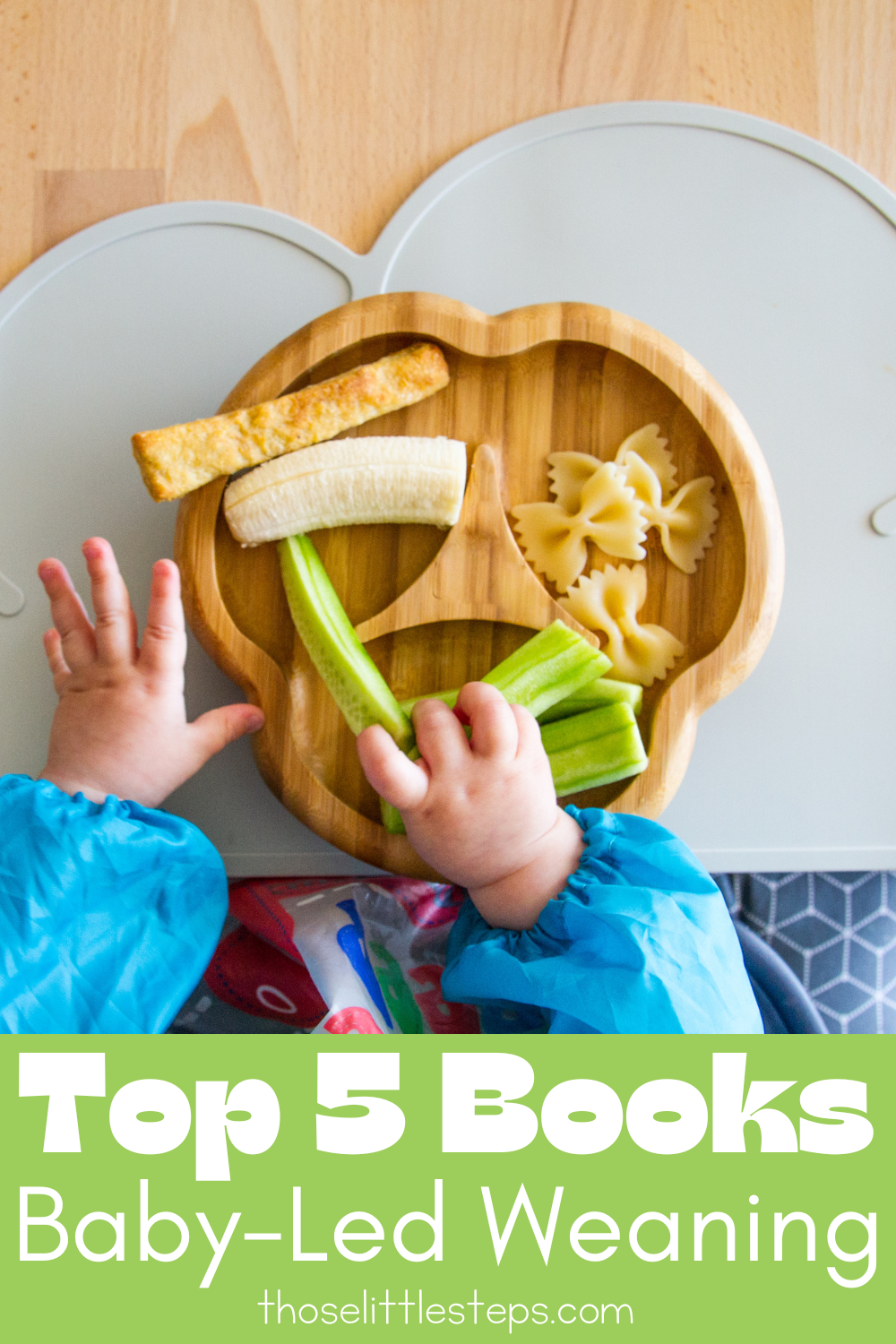 Books About Baby Led Weaning