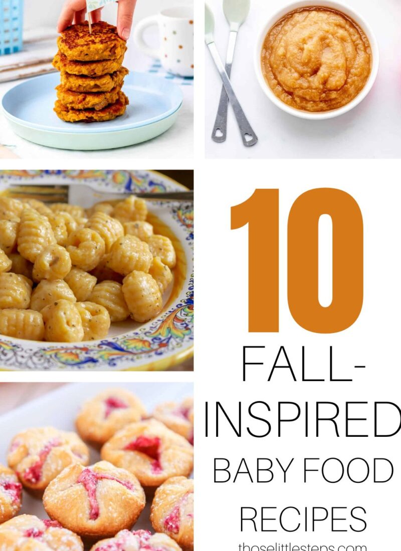Fall Inspired Recipes for Baby Food
