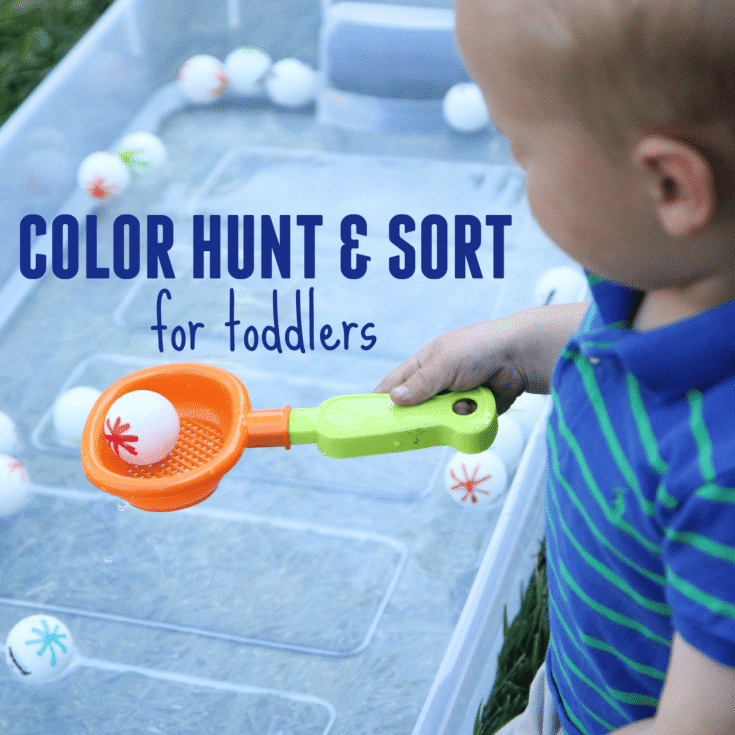 Image for Color Hunt and Sort for Toddlers