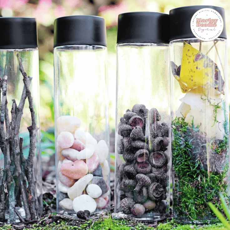 Image for Simple DIY Nature Sound Sensory Bottles for Kids