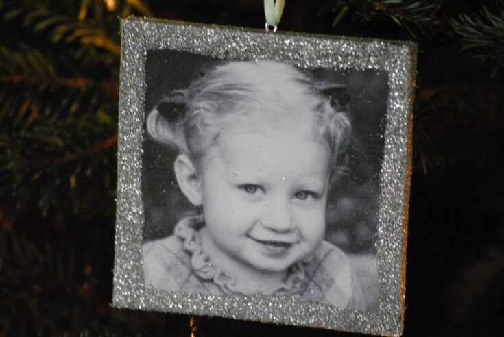 Image for Glitter Photo Frame Ornament